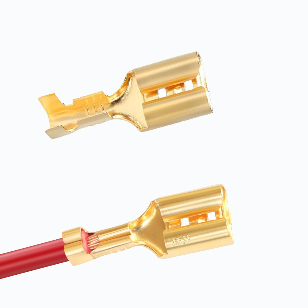 10/50/100 Ensembles de bornes  - Push Fit Connector avis et prix
